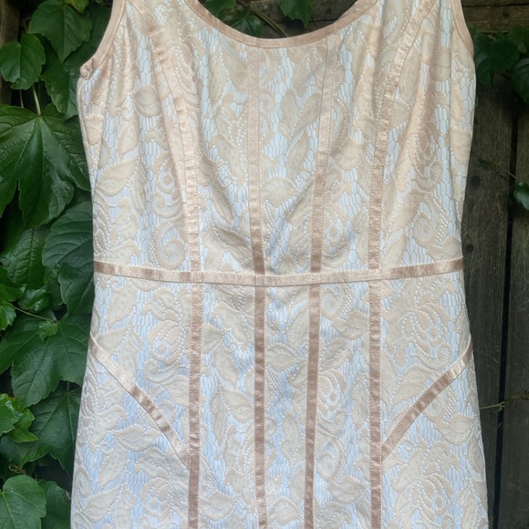 Cach’e Light pink Embroidered Sleeveless Dress A-Line Full back Zipper - Picture 8 of 10